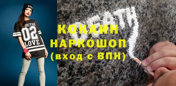 хмурый Верея