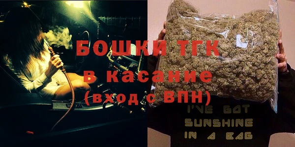 хмурый Верея
