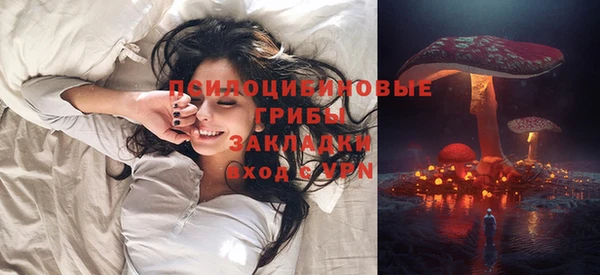 таблы Бородино