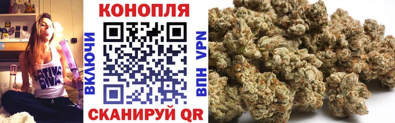 наркошоп  Кирсанов  дарк нет телеграм  Каннабис планчик 